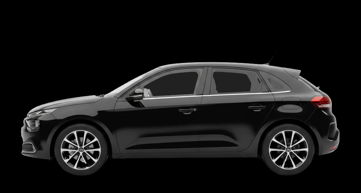 CITROEN C4 MAX AUTO