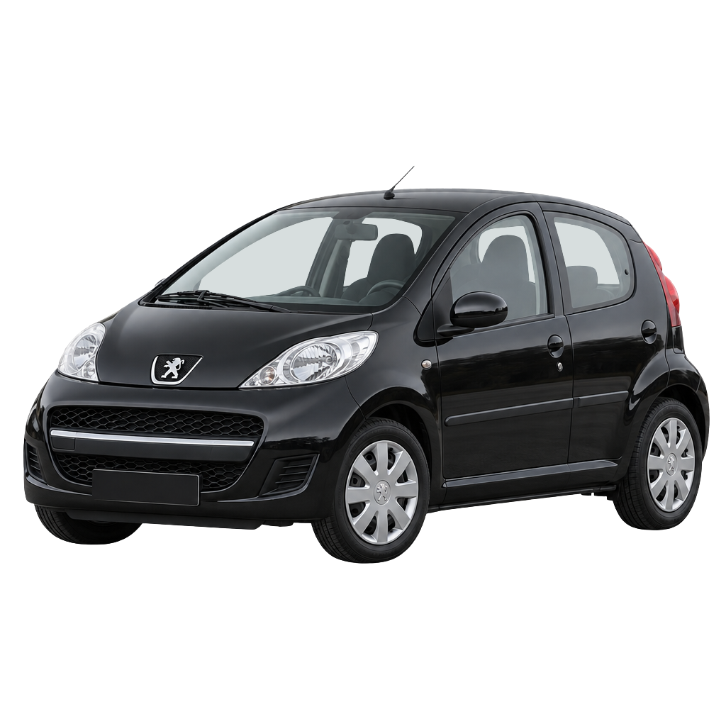 Peugeot 1007 side view