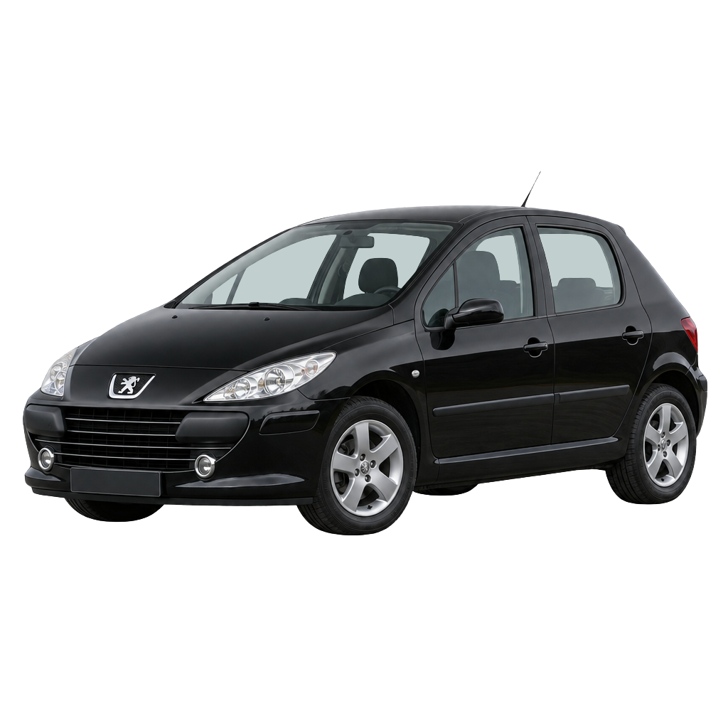 Peugeot 307 side view