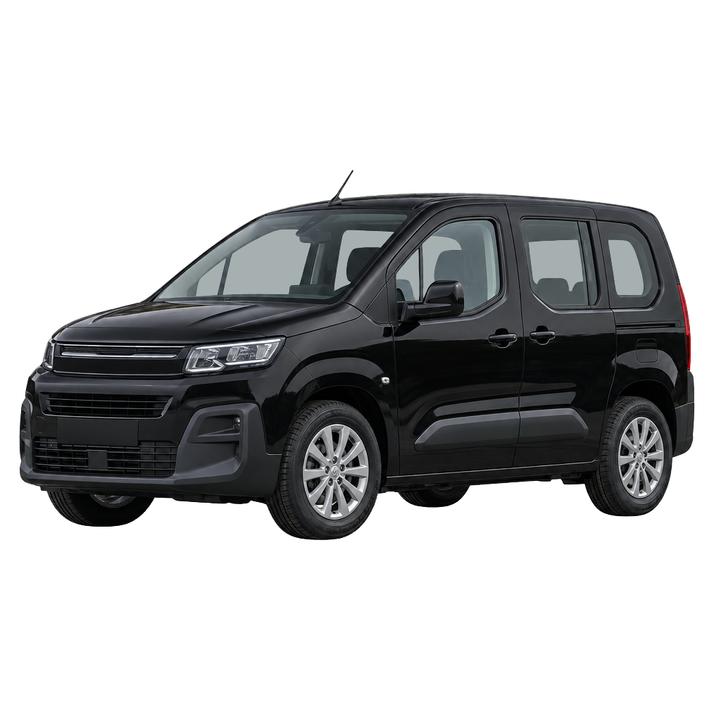 Citroen C Crosser side view