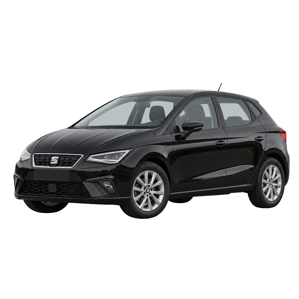 SEAT Ibiza side view